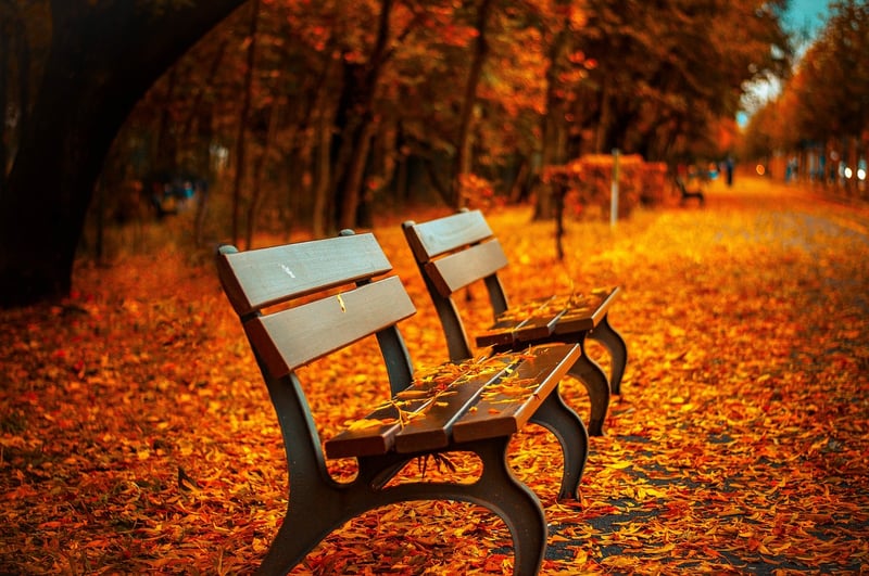 Gratitude Image